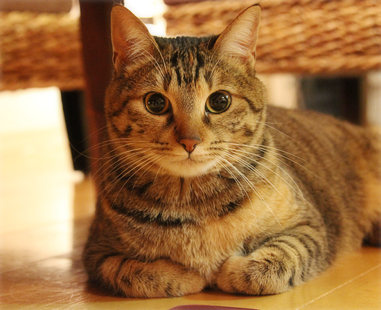 しあわせになったね_a0389088_17384992.jpg