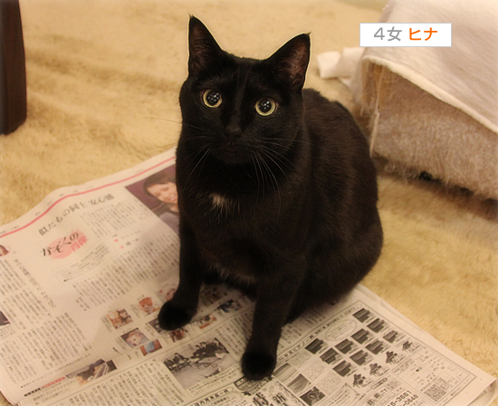 新聞に乗りました…いえ、載りました。_a0389088_17393892.jpg