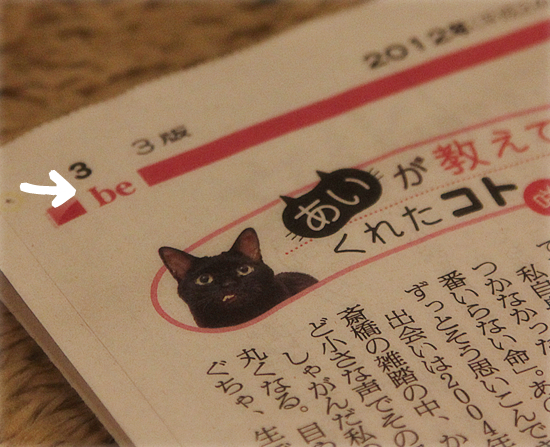 新聞に乗りました…いえ、載りました。_a0389088_17393998.jpg