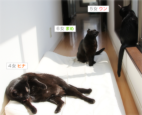 お腹の中には何がある?_a0389088_17394056.jpg
