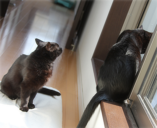 お腹の中には何がある?_a0389088_17394074.jpg