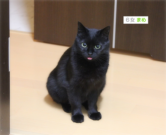 気にならないの?_a0389088_17394125.jpg