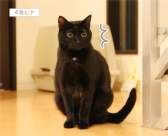 緊迫したムードと柔らかなお肉_a0389088_17394311.jpg
