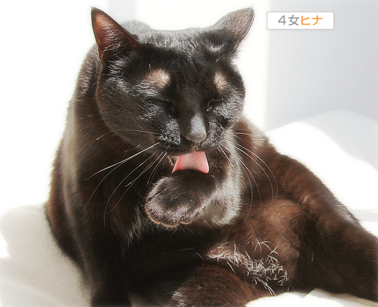 におい嗅ぎ魔_a0389088_17394473.jpg