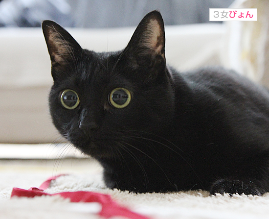 な~~んにもない_a0389088_17395004.jpg