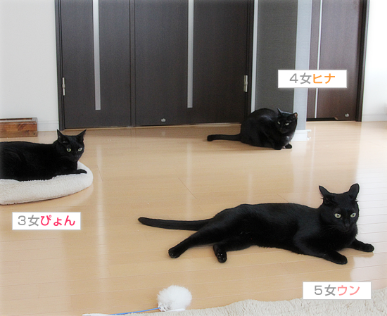 な~~んにもない_a0389088_17395018.jpg