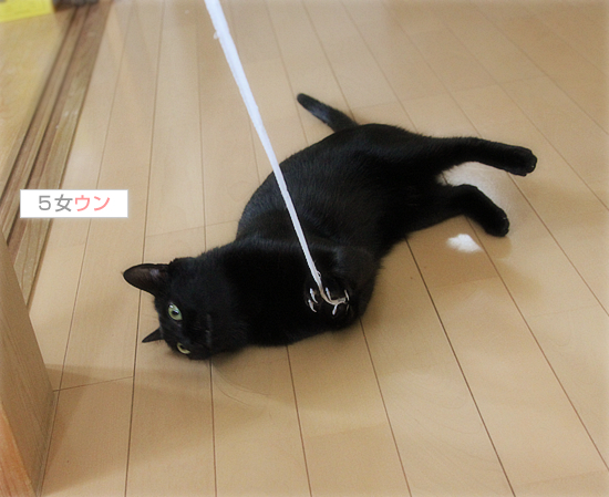 な~~んにもない_a0389088_17395042.jpg