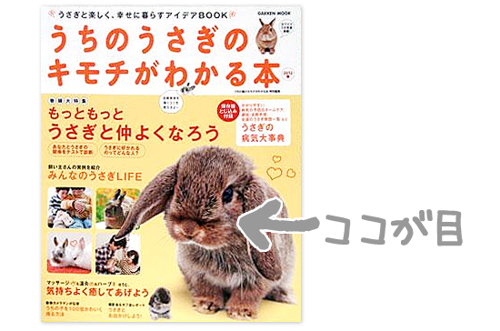 そこまでですか!?_a0389088_17395237.jpg