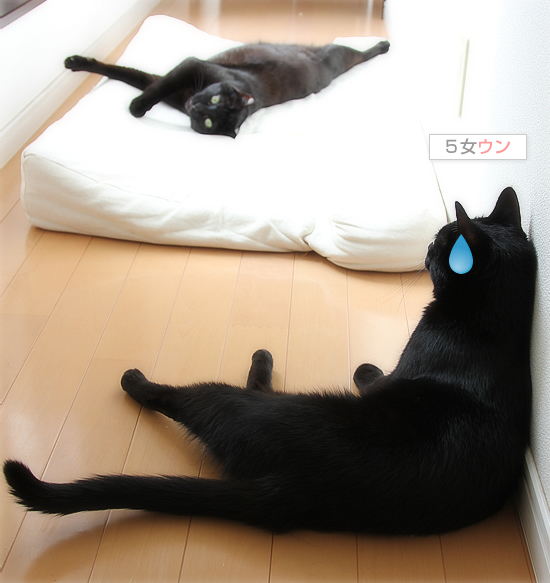 ウエストを痩せる方法_a0389088_17395262.jpg