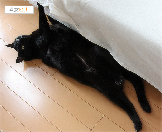 タッチ♪_a0389088_17401337.jpg