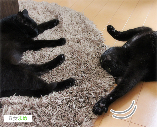 タッチ♪_a0389088_17401338.jpg