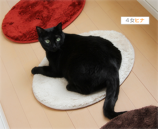 4色にそれぞれが!?_a0389088_17401414.jpg