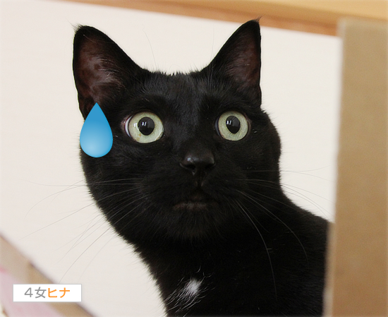 箱があればどこまでも!_a0389088_17401914.jpg