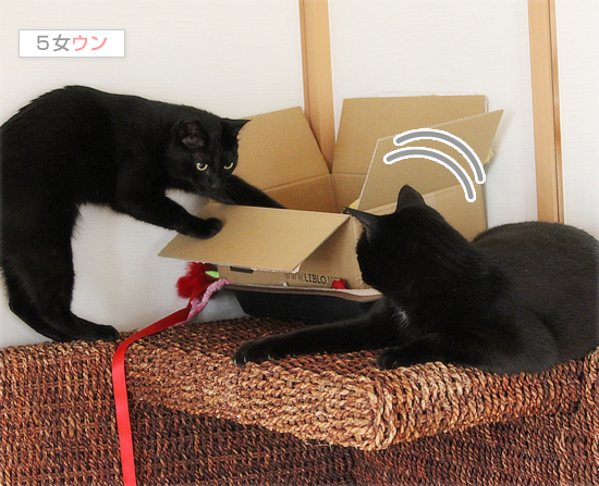 箱があればどこまでも!_a0389088_17401920.jpg