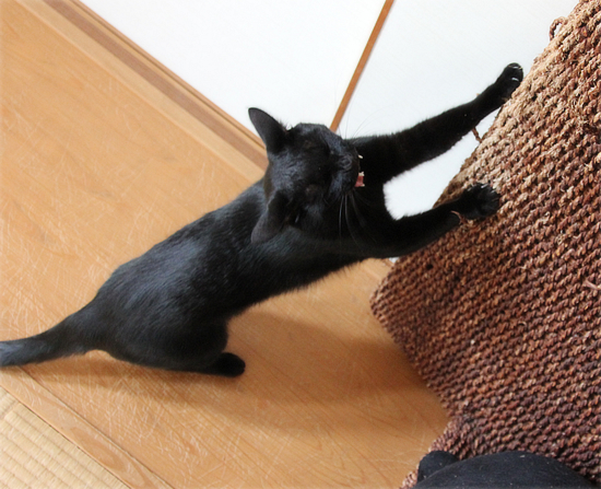 箱があればどこまでも!_a0389088_17401991.jpg