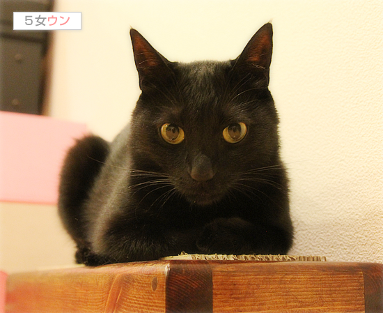 タレント魂、目覚める?_a0389088_17402024.jpg