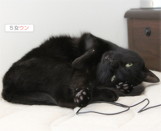 いつもと違う…_a0389088_17402380.jpg