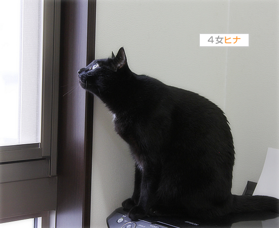 雨の日の宝物_a0389088_17404303.jpg