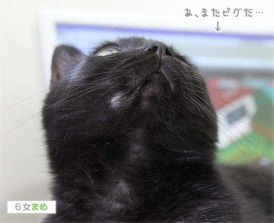 雨の日の宝物_a0389088_17404324.jpg
