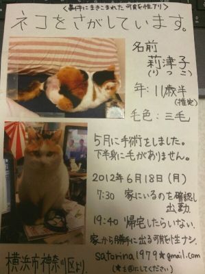 ひきこもり中(※【横浜】行方不明の猫ちゃんを探しています)_a0389088_17404361.jpg