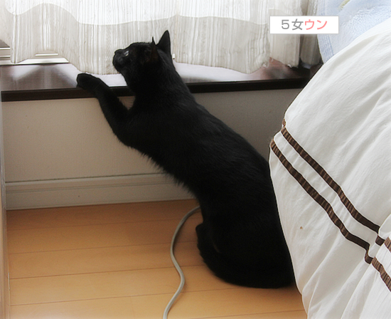 雨の日の宝物_a0389088_17404420.jpg