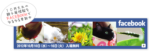 猫同士だからできる教育_a0389088_17404681.jpg