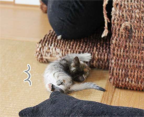 負けず嫌い_a0389088_17411439.jpg