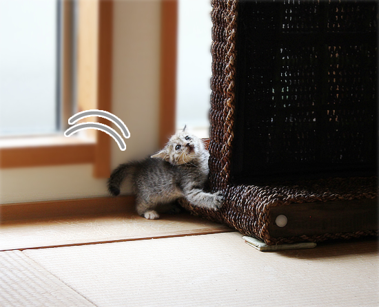 負けず嫌い_a0389088_17411458.jpg
