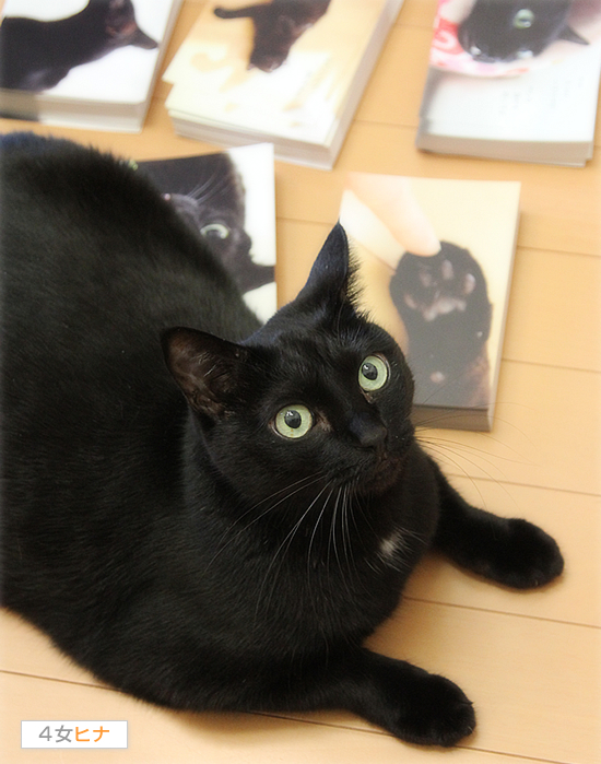 グラビアポーズ?_a0389088_17411632.jpg