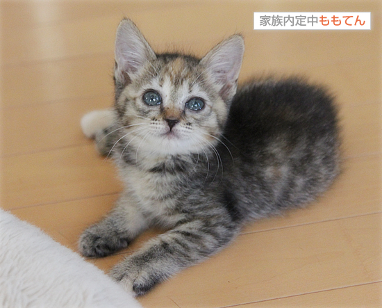 グラビアポーズ?_a0389088_17411696.jpg