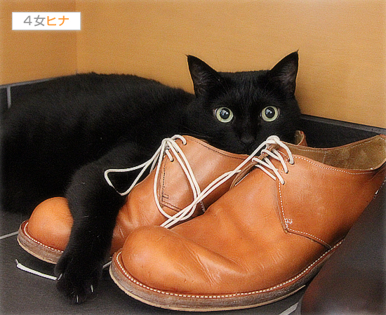 ○○の女神様_a0389088_17411836.jpg