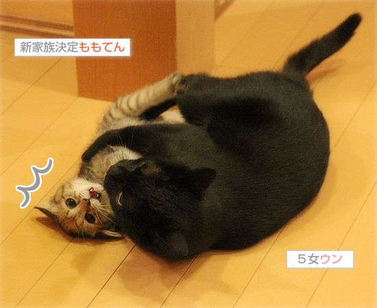 全員集合_a0389088_17420149.jpg