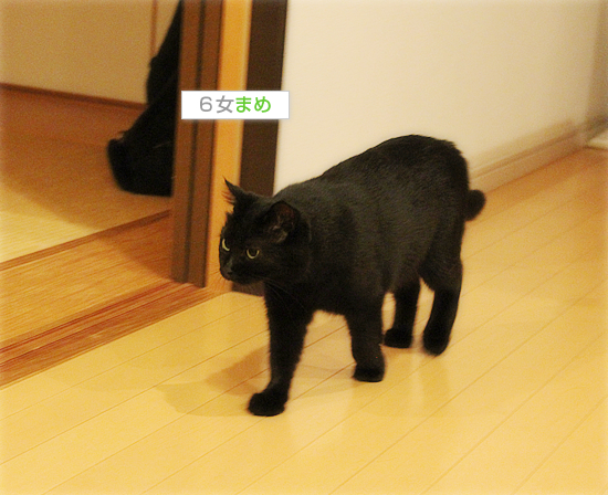 全員集合_a0389088_17420291.jpg