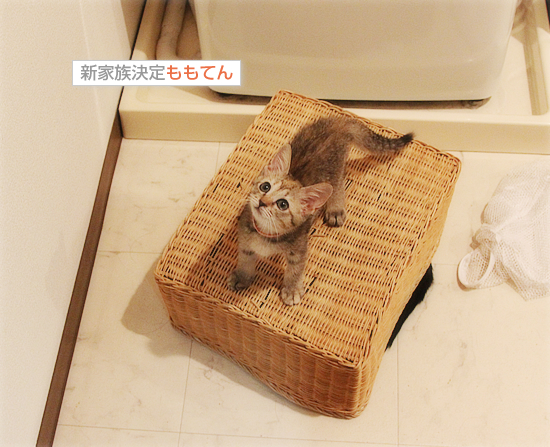 仁王立ちの下にあるものは_a0389088_17420396.jpg