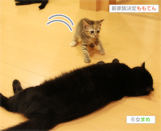 お母ちゃん!!_a0389088_17420412.jpg