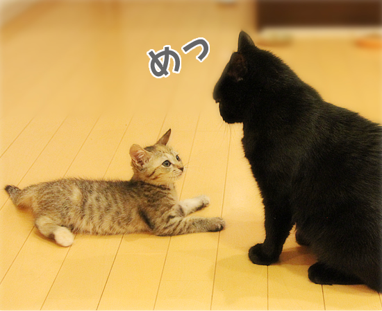 お母ちゃん!!_a0389088_17420435.jpg