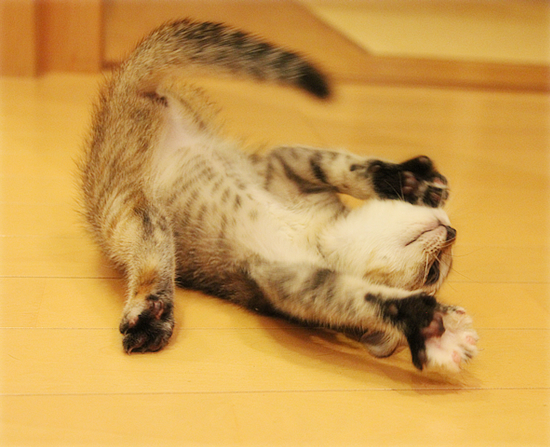 仁王立ちの下にあるものは_a0389088_17420479.jpg