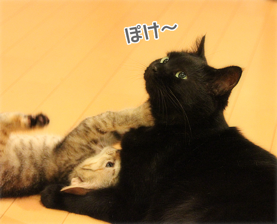 お母ちゃん!!_a0389088_17420493.jpg