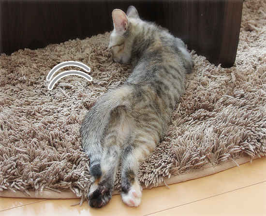 サヨウナラ、恥じらい_a0389088_17420925.jpg