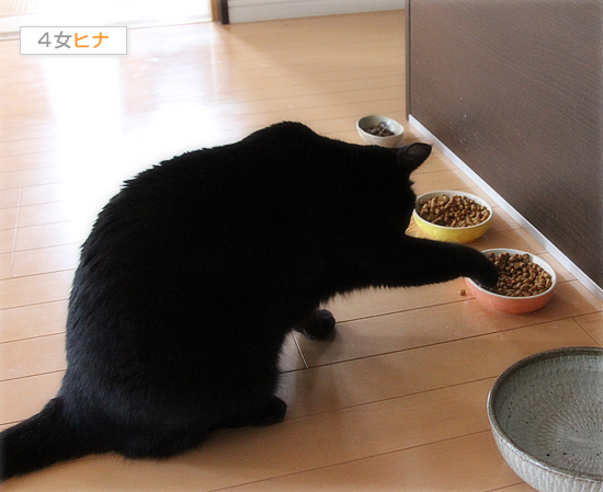 人間みたいな食べ方_a0389088_17421963.jpg