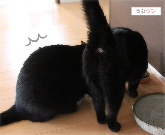 人間みたいな食べ方_a0389088_17422095.jpg