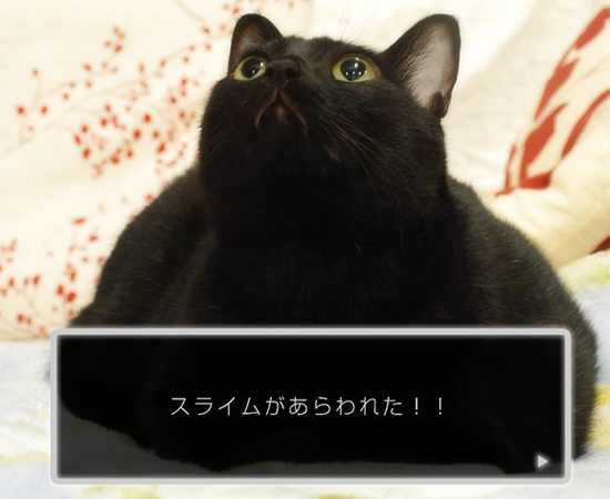 妖怪めざしてます(プレゼントのおしらせ)_a0389088_17422130.jpg