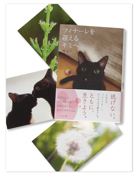 キャットタワーで見栄をはる_a0389088_17422202.jpg