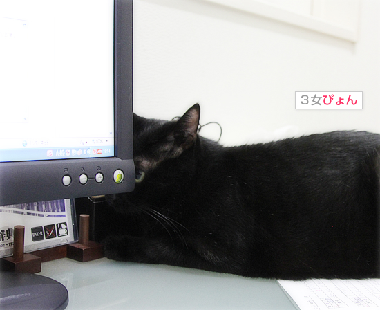 今まさに猫_a0389088_17422967.jpg