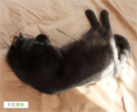 しあわせってなんだろう_a0389088_17423061.jpg