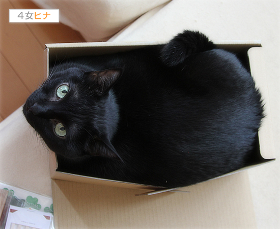 やるかやられるか!?_a0389088_17423192.jpg