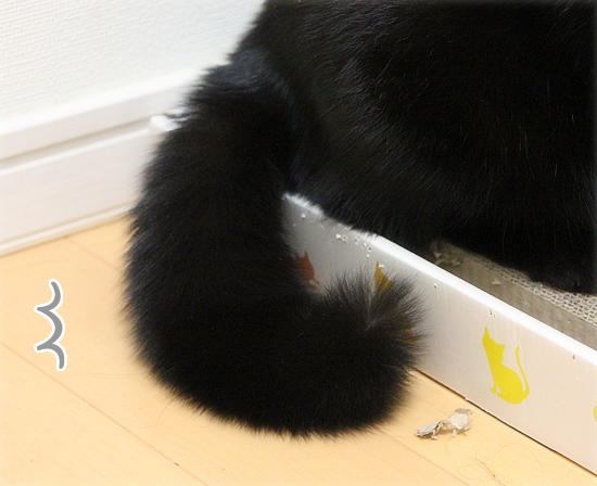 「だんじり」ワッショイ!!_a0389088_17423415.jpg