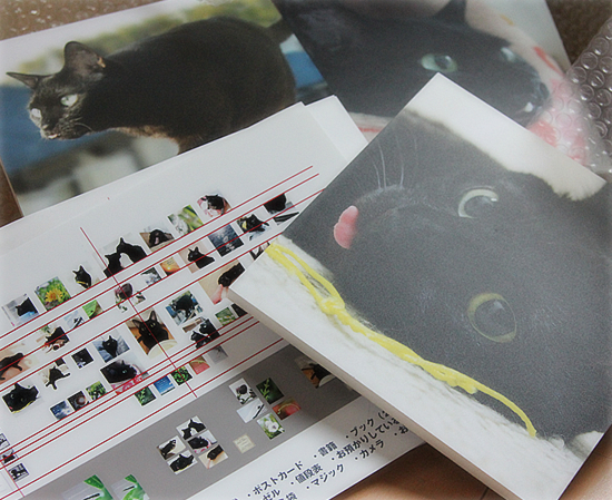 黒猫宅急便?_a0389088_17423576.jpg