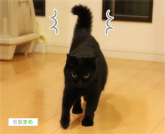 ぼぼん・ぼ・ぼんぼんぼん_a0389088_17423669.jpg