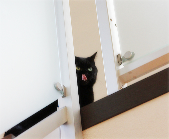 まめチェックにさらされて_a0389088_17423839.jpg